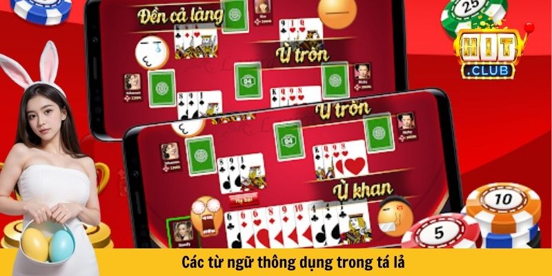 Các từ ngữ thông dụng trong tá lả