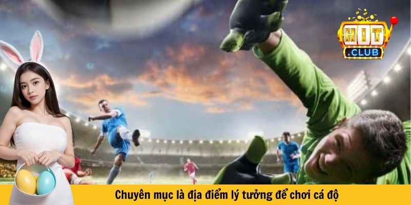 Chuyên mục là địa điểm lý tưởng để chơi cá độ