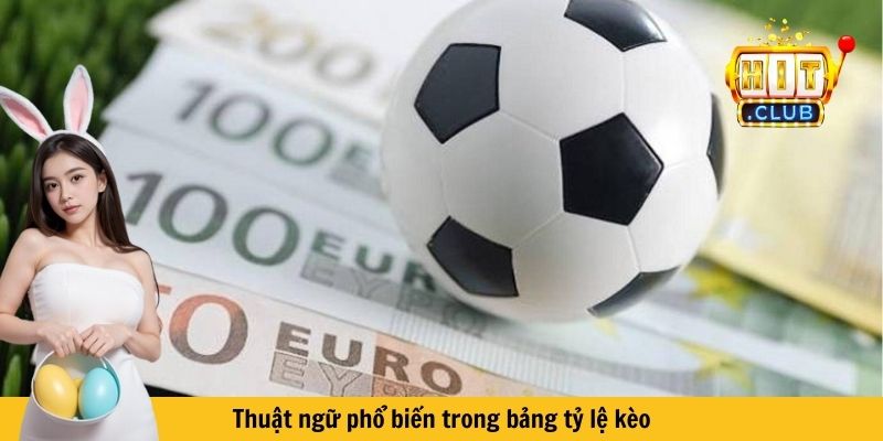 Thuật ngữ phổ biến trong bảng tỷ lệ kèo