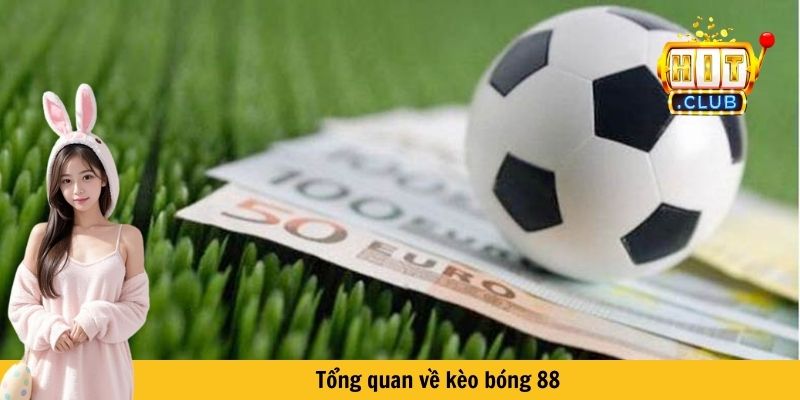 Tổng quan về kèo bóng 88